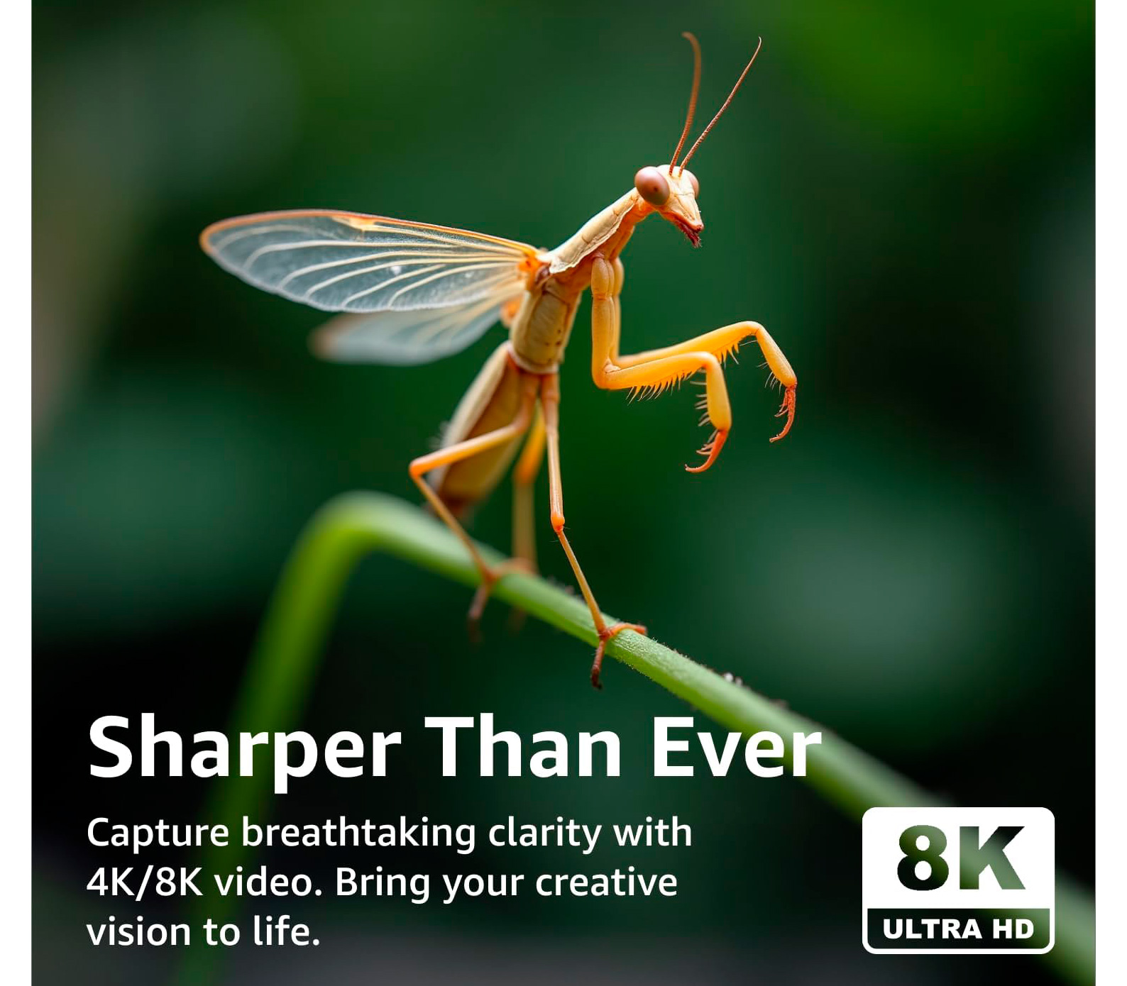 Карта памяти Silicon Power CFexpress Type B 800GB StudioPro VPG400 (R1800/W1650)