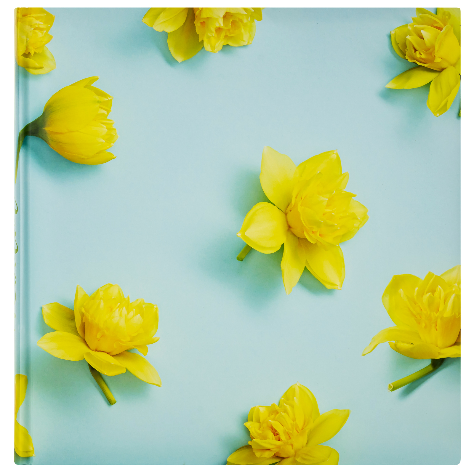 Фотоальбом Fotografia традиционный, 30х30 см, 30 листов, «Цветы», FA-BB30 - 354