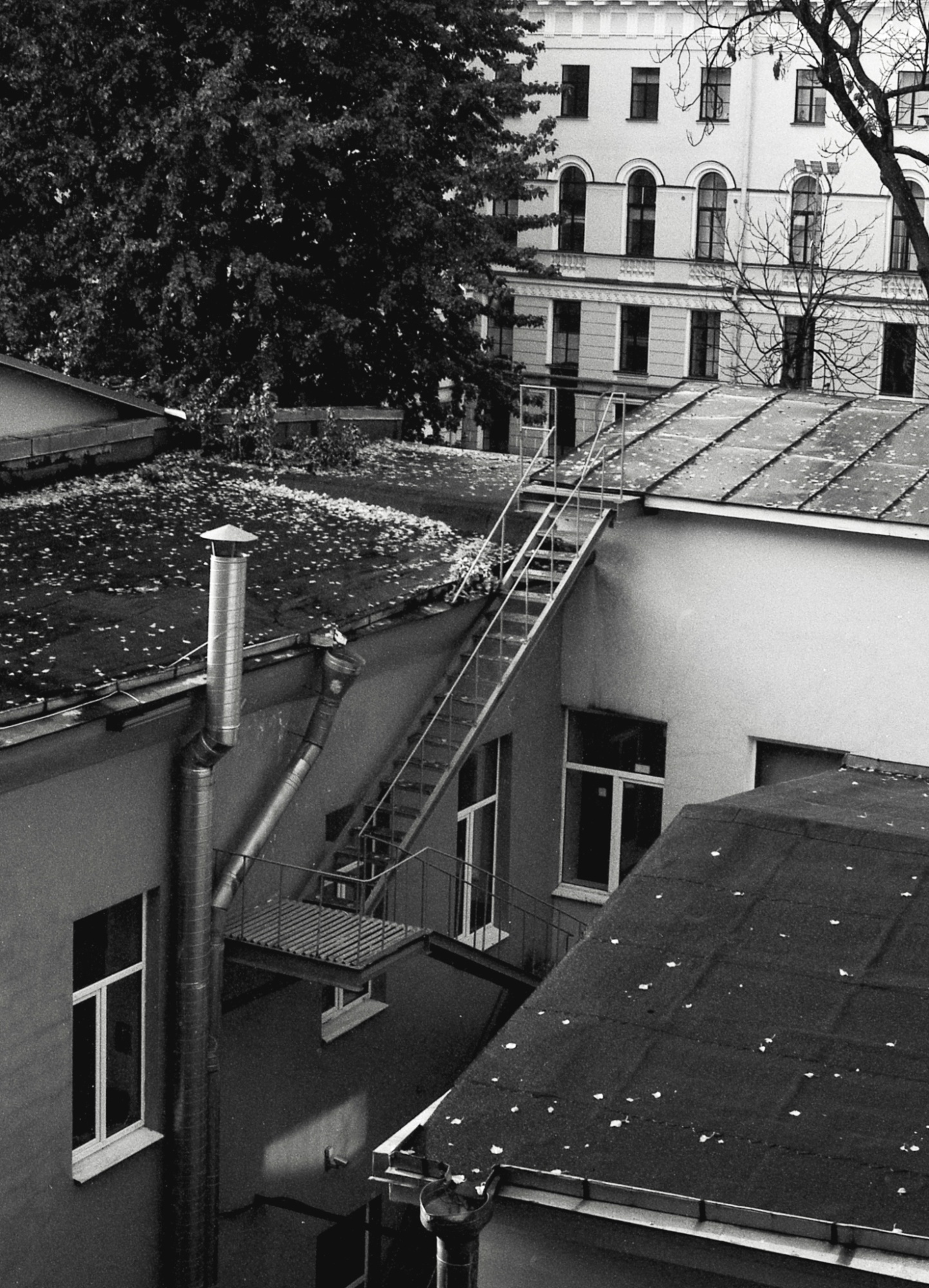 Фотопленка Silberra U200, ч/б негативная, 135 формат, 36 кадров