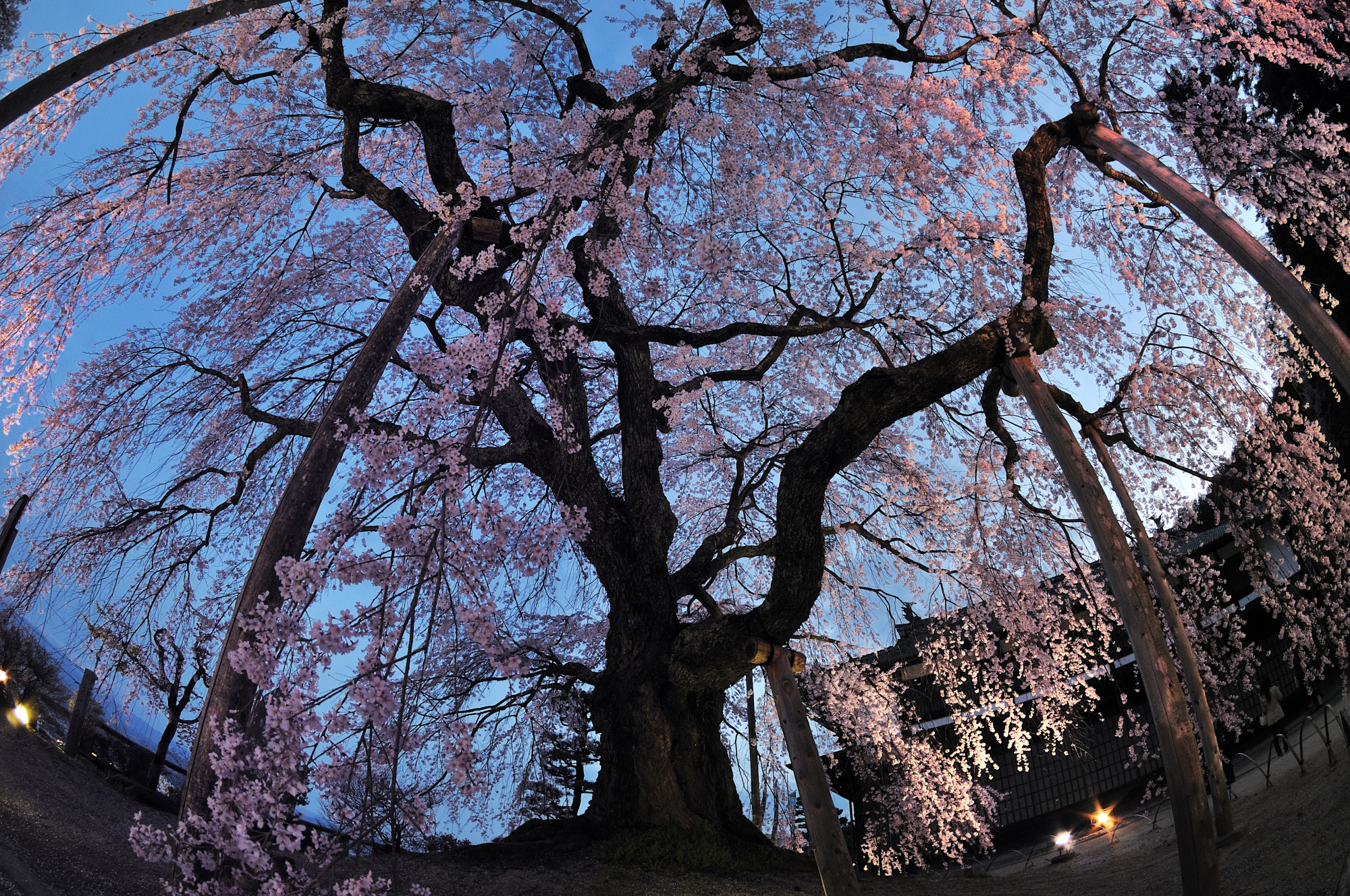 Объектив Tokina AT-X 107 F3.5-4.5 DX Fisheye