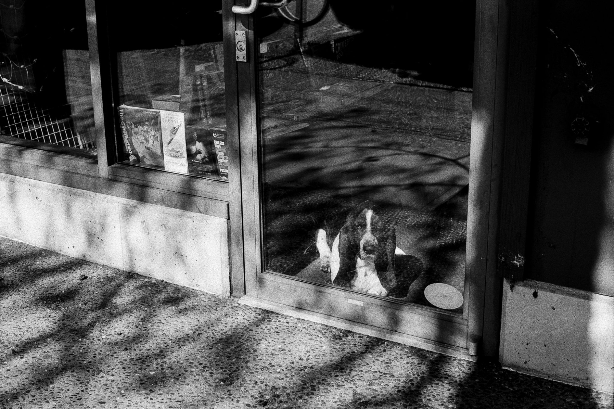 Фотопленка Foma Ortho 400 135-36