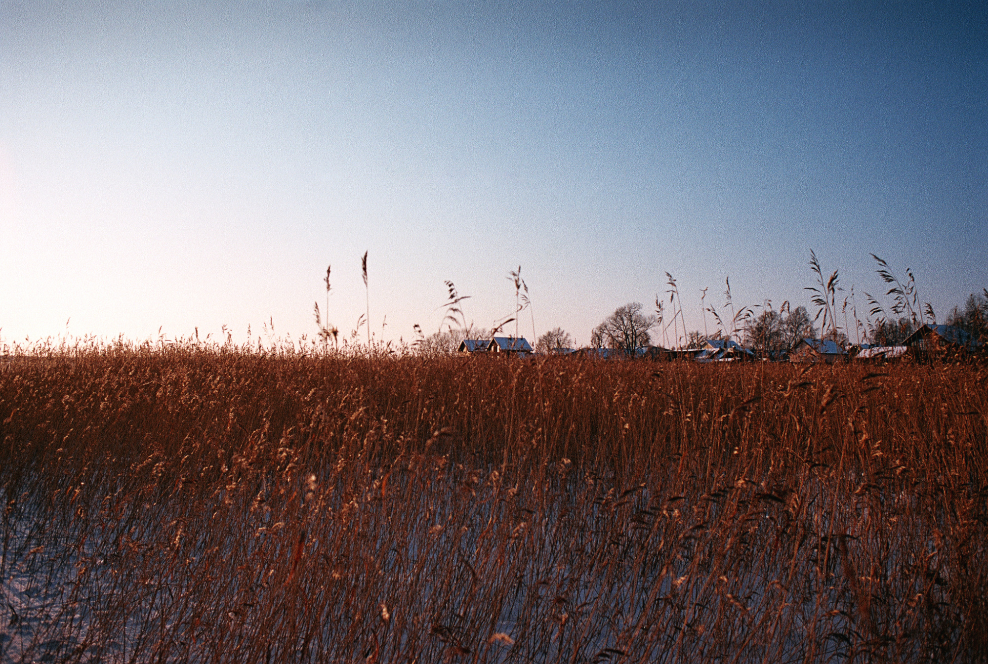 Фотопленка Silberra COLOR160 C-41 135, 24 кадра